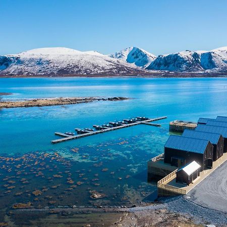 Апартаменты Risoyhamn Sjohus As Экстерьер фото